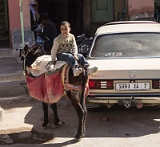 5D3 1627  Taken at Latitude/Longitude:31.282561/-4.265377. 0.40 km South-East Rissani Mekns-Tafilalet Morocco   (Map link) : 0.40  Km to Rissani  in Mekns-Tafilalet Morocco, Mekns-Tafilalet, Morocco, Rissani, geo:lat=31.282561, geo:lon=-4.265377, geotagged, 0, 265377, 282561, 40  Km to Rissani  in Mekns-Tafilalet Morocco, geo:lat=31, geo:lon=-4, geotagged, Mekns-Tafilalet, Morocco, Rissani, 0, 265377, 282561, 40  Km to Rissani  in Mekns-Tafilalet Morocco, geo:lat=31, geo:lon=-4, geotagged, Mekns-Tafilalet, Morocco, Rissani